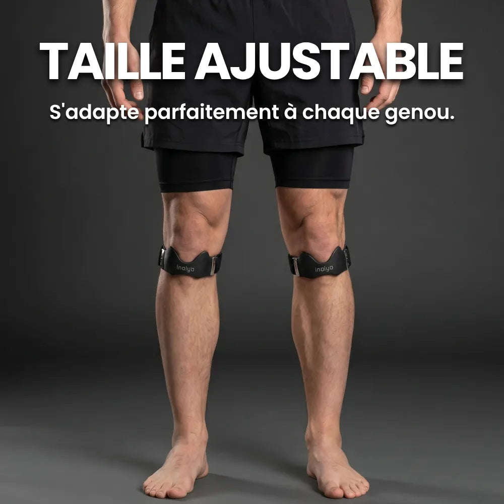 Sangle rotulienne - Falk